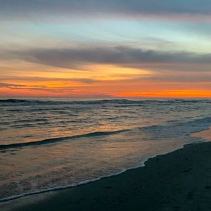 Meet your Posher, Teigan